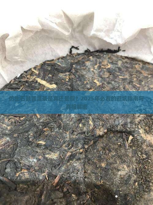 仿生石鼓普洱茶