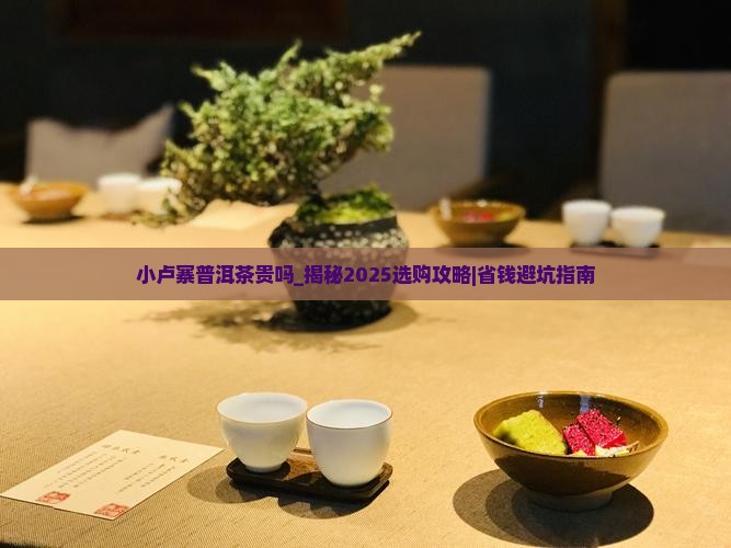 小卢寨普洱茶贵吗