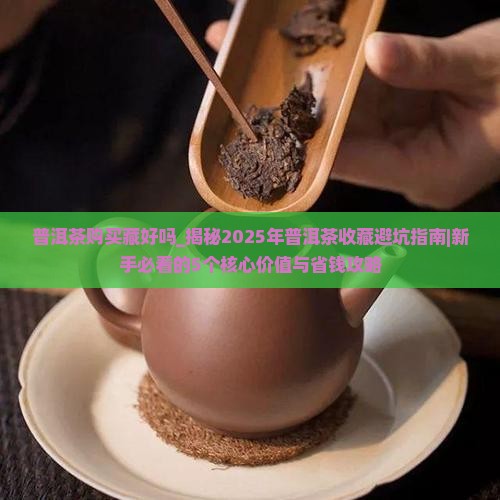 普洱茶购买藏好吗