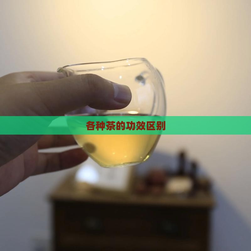 各种茶的功效区别