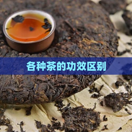 各种茶的功效区别