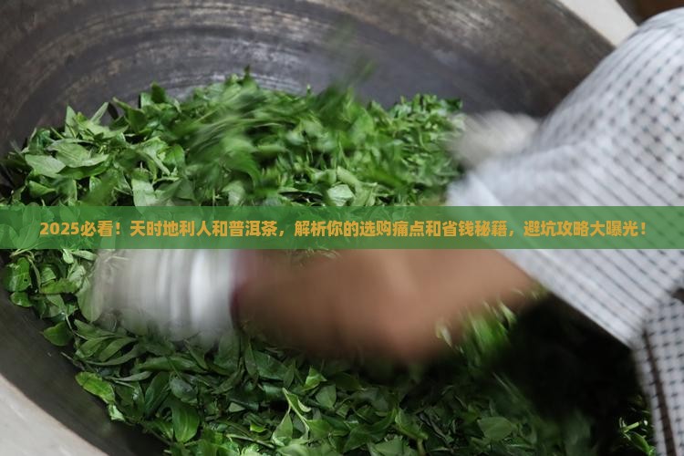 天时地利人和普洱茶