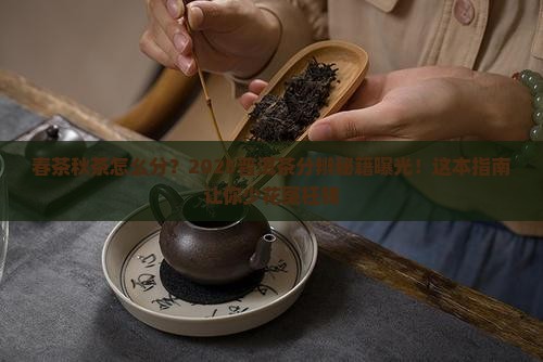 普洱茶分辨春茶秋茶