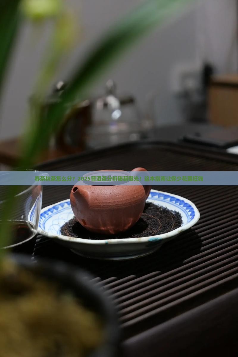 普洱茶分辨春茶秋茶