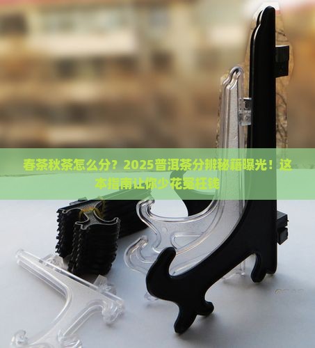普洱茶分辨春茶秋茶
