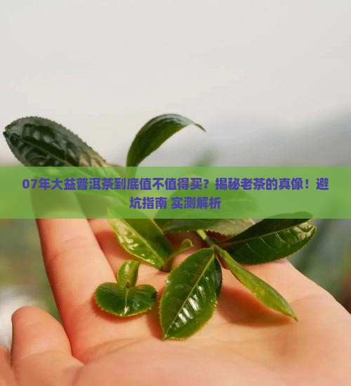 07年的普洱大益茶怎么样