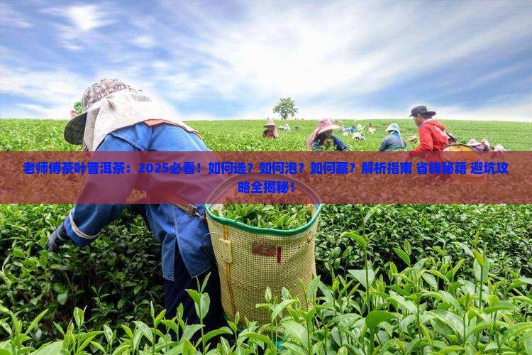 老师傅茶叶普洱茶