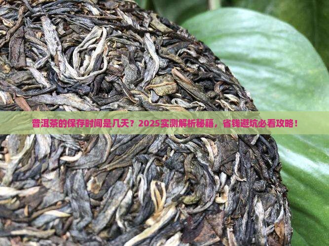 普洱茶的保存时间是几天