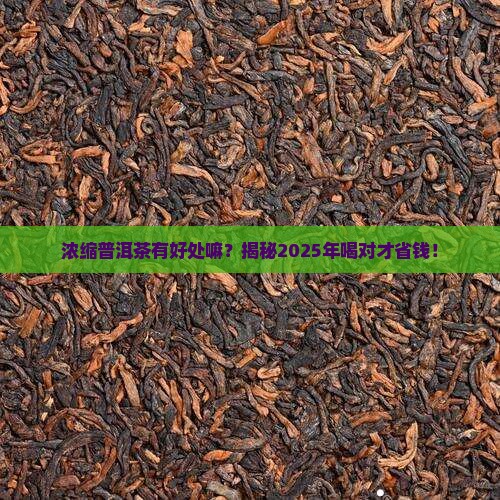 浓缩普洱茶有好处嘛