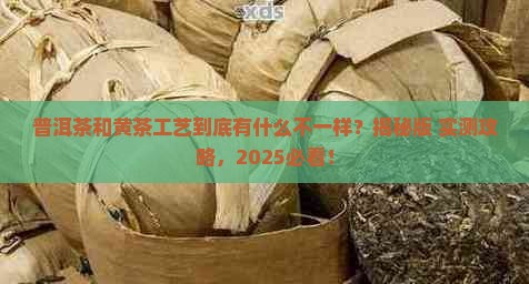 普洱茶黄茶工艺特点是什么