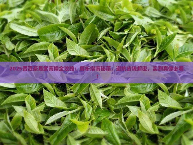 普洱茶易武南糯 普洱茶易武南糯