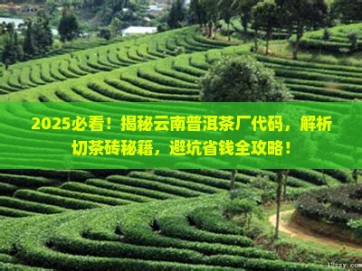 如何切茶砖云南普洱茶厂代码