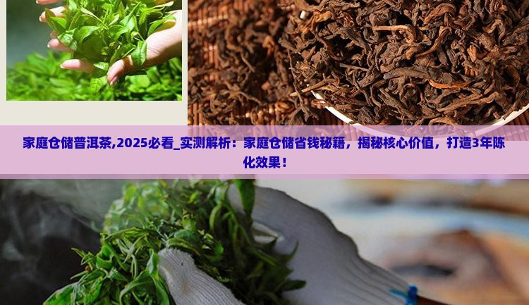 家庭仓储普洱茶