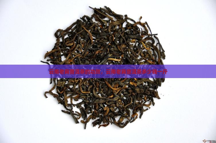 云南老冀普洱茶