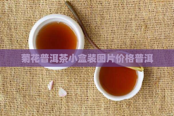 菊花普洱茶小盒装