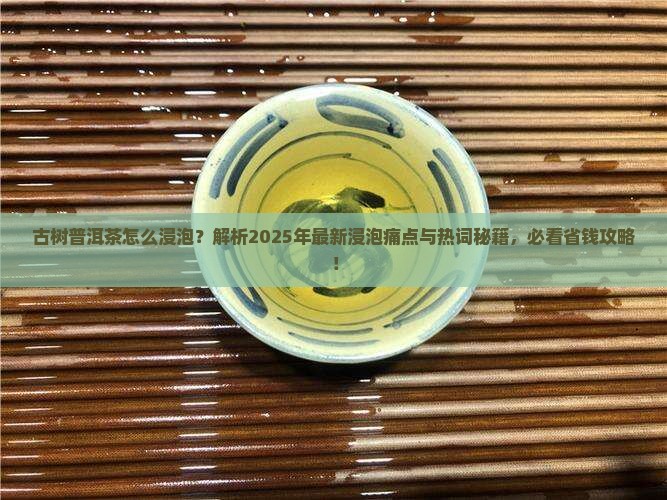古树普洱茶怎么浸泡