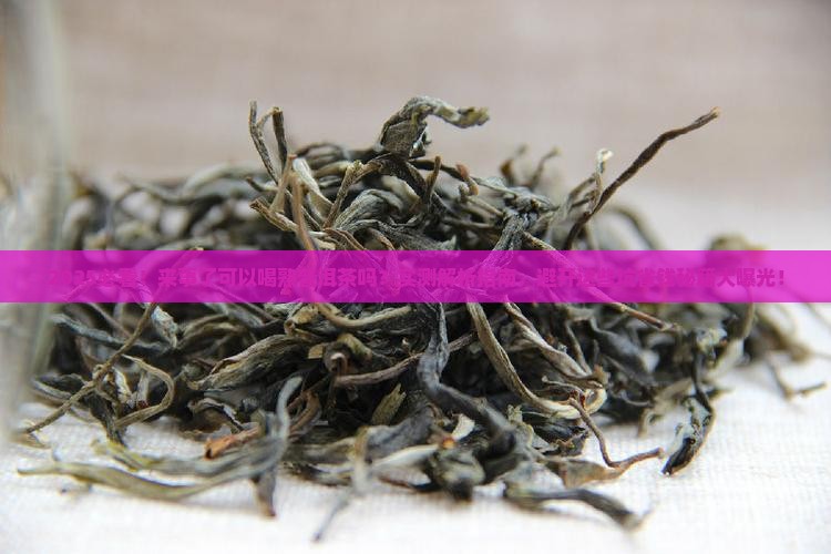 来事了可以喝熟普洱茶吗