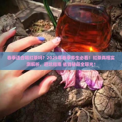 春季适合喝红茶吗