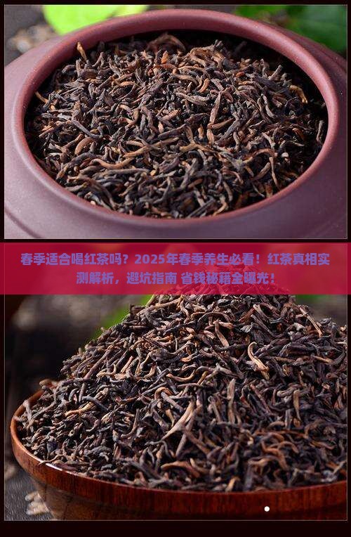 春季适合喝红茶吗
