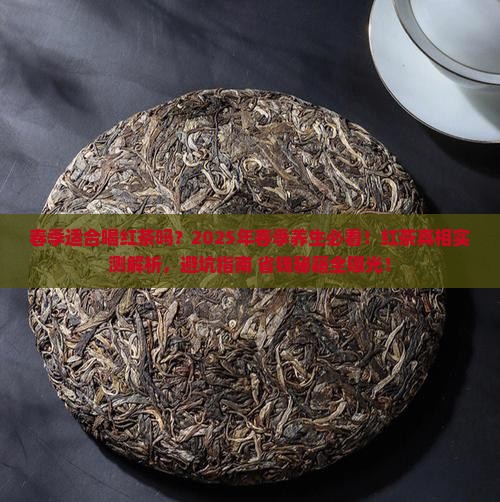 春季适合喝红茶吗