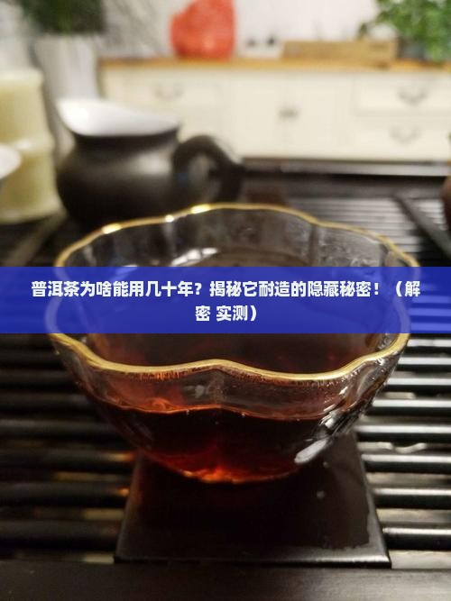 普洱茶耐用的原因