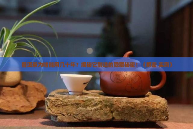 普洱茶耐用的原因