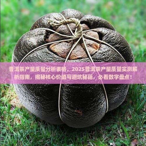 普洱茶产量质量分析表格
