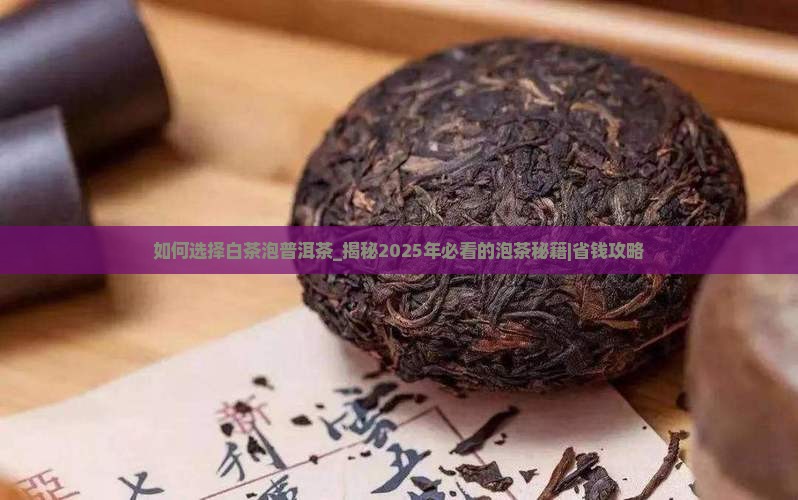 如何选择白茶泡普洱茶