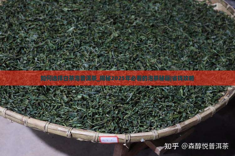 如何选择白茶泡普洱茶