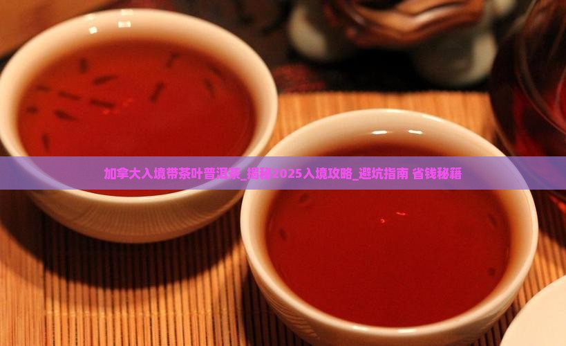 加拿大入境带茶叶普洱茶