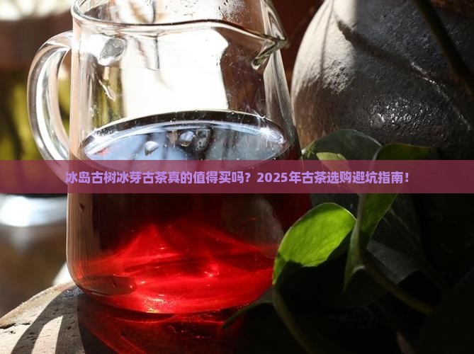 冰岛古树冰芽古茶 冰岛古树冰芽古茶