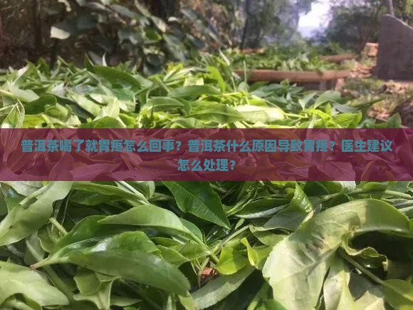 熟普洱茶喝了就胃疼为什么