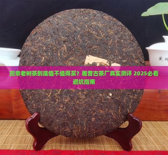 雅普古茶厂班章老树