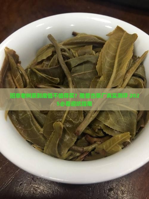 雅普古茶厂班章老树
