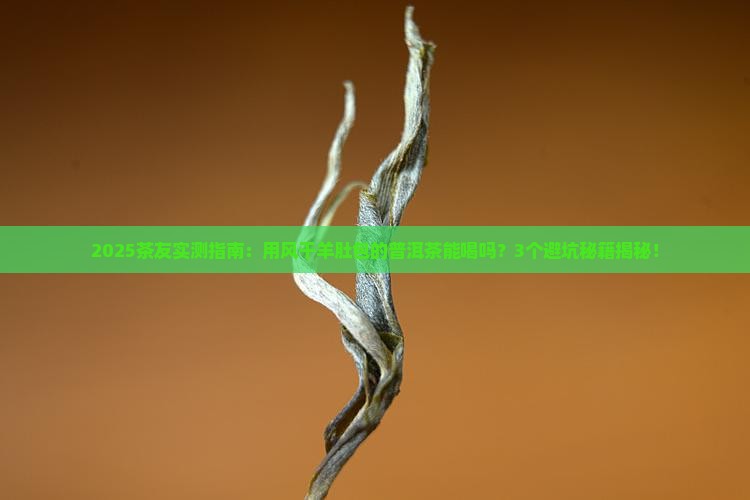 用风干羊肚包的普洱茶能喝吗