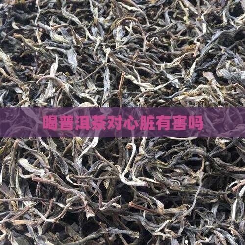 喝普洱茶对心脏有害吗 喝普洱茶对心脏有害吗
