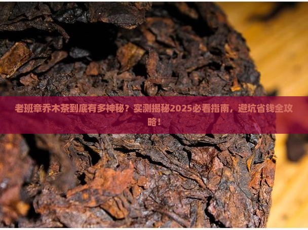 老班章乔木茶算什么茶