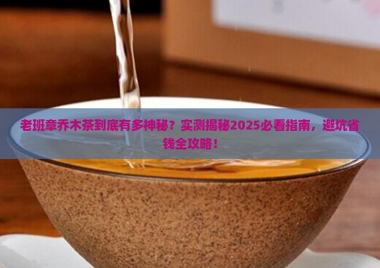 老班章乔木茶算什么茶