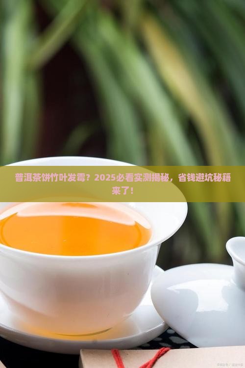 普洱茶饼竹叶发霉