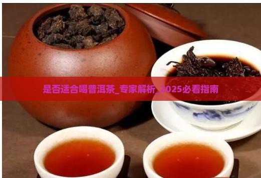 是否适合喝普洱茶