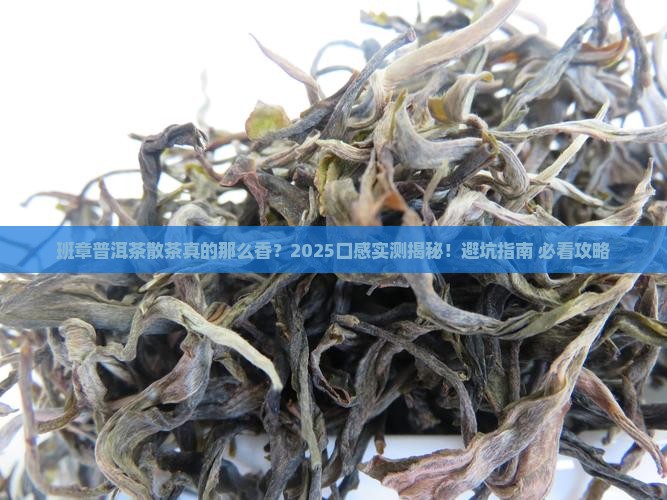 班章普洱茶散茶口感