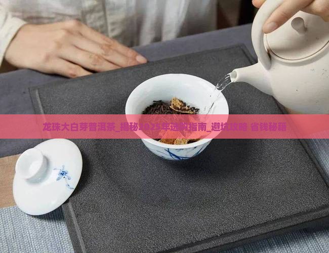 龙珠大白芽普洱茶