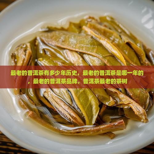 最老的普洱茶有多少年