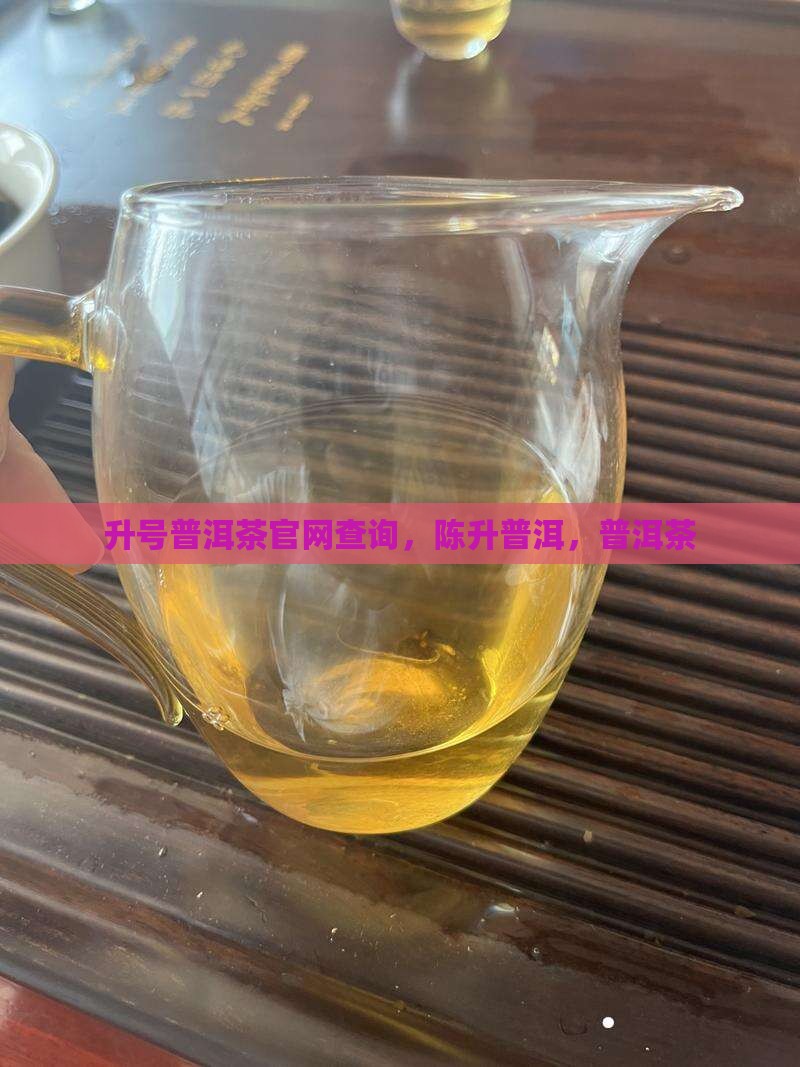 陈升号普洱茶官网查询