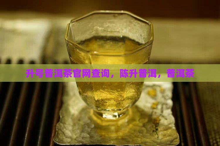 陈升号普洱茶官网查询