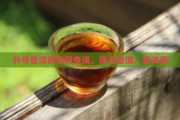 陈升号普洱茶官网查询