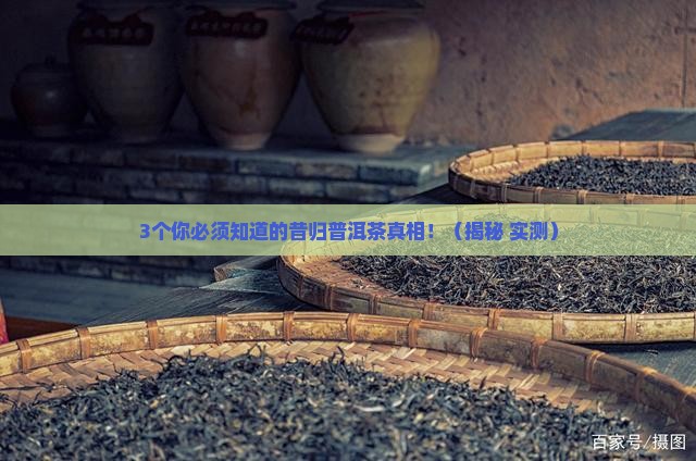 昔归普洱茶种类