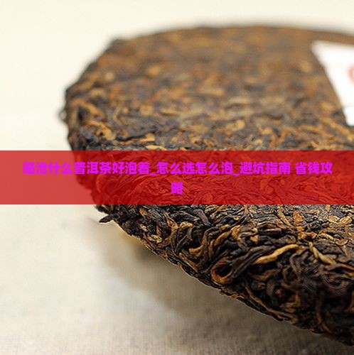 临沧什么普洱茶好泡着