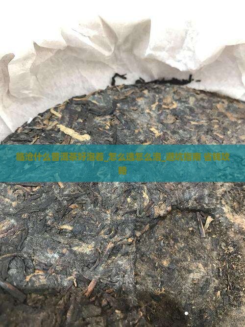 临沧什么普洱茶好泡着