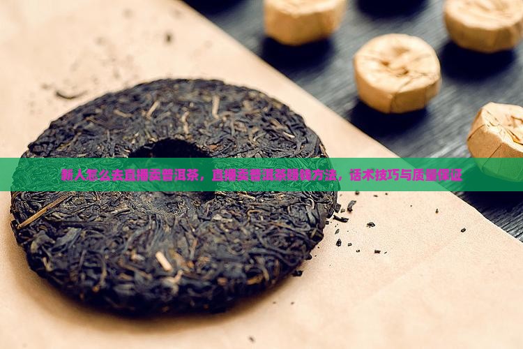 新人怎么去直播卖普洱茶